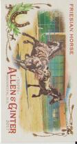 2017 Topps Allen & Ginter Mini Horse in the Race #HR-1 Friesian Horse