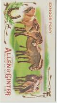 2017 Topps Allen & Ginter Mini Horse in the Race #HR-2 Exmoor Pony