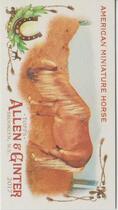 2017 Topps Allen & Ginter Mini Horse in the Race #HR-6 American Miniature Horse