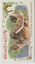 2017 Topps Allen & Ginter Mini Horse in the Race #HR-7 Grayson Highland Pony