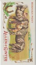 2017 Topps Allen & Ginter Mini Horse in the Race #HR-20 Bosnian Pony