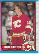 1989 O-Pee-Chee OPC Base Set #202 Gary Roberts