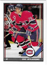 1991 O-Pee-Chee OPC Base Set #14 Eric Desjardins