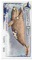 2012 Topps Allen and Ginter Mini Giants of the Deep #GD7 Right Whale