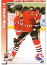 2004 Choice American Hockey League Future Stars #37 Anton Babchuk