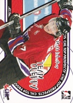 2005 ITG Heroes and Prospects Team Cherry #TC-19 Matt Beleskey
