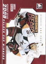 2009 ITG Heroes and Prospects Calder Cup Winners #CC07 Andrew Gordon