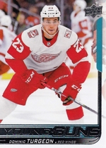 2018 Upper Deck Base Set Series 2 #486 Dominic Turgeon