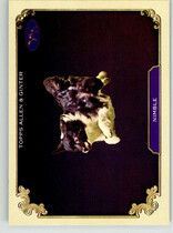 2024 Topps Allen & Ginter Stars Of The Show The Westminster Kennel Club #SOS-34 Nimble