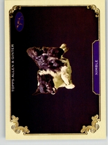 2024 Topps Allen & Ginter Stars Of The Show The Westminster Kennel Club #SOS-34 Nimble