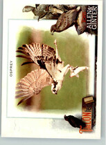 2023 Topps Allen & Ginter TALON-ted #TT-1 Osprey