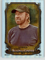2024 Topps Allen & Ginter Silver Portrait #255 Chuck Norris