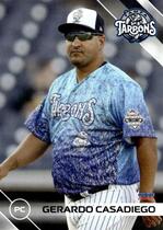 2023 Choice Tampa Tarpons #31 Gerardo Casadiego