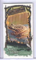 2024 Topps Allen & Ginter Mini Swamp Creatures #SC-17 Little Grass Frog