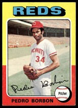 1975 Topps Base Set #157 Pedro Borbon