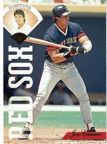 1995 Leaf Base Set #391 Jose Canseco