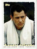 1995 Topps Cyberstats #342 Randy Velarde