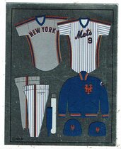 1988 Panini Stickers #334 New York