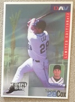 2002 DAV Base Set #12 Steve Cox