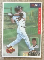 2002 DAV Base Set #13 Jay Gibbons