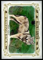 2021 Topps Allen & Ginter Rallying Back #RB-1 Gray Wolf