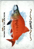 2015 Upper Deck Champs Fish #F-25 Sockeye Salmon