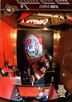 2015 Upper Deck Base Set Series 2 #386 Chris Neil