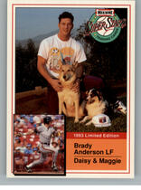 1993 Milk Bone Super Stars #19 Brady Anderson