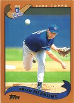 2002 Topps Base Set #53 Brian Meadows