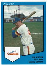1989 ProCards Calgary Cannons #536 Jim Wilson
