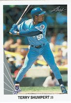 1990 Leaf Base Set #409 Terry Shumpert