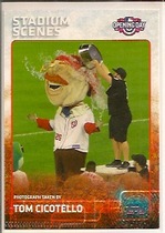 2015 Topps Opening Day Stadium Scenes #STA-TC Tom Cicotello