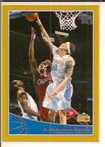 2009 Topps Gold #69 Chris Andersen