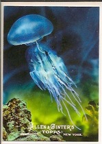 2011 Topps Allen and Ginter Ascent of Man #AOM5 Cnidarians