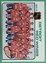 1975 Topps Base Set #87 Red Wings Team