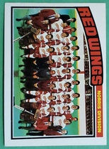 1976 Topps Base Set #137 Red Wings Team