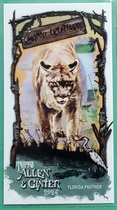 2024 Topps Allen & Ginter Mini Swamp Creatures #SC-5 Florida Panther