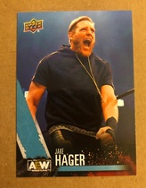 2021 Upper Deck AEW #19 Jake Hager