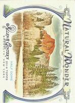 2014 Topps Allen & Ginter Natural Wonder #NW-14 Half Dome