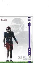 2025 SAGE Purple #29 Kyle Williams