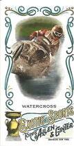 2018 Topps Allen & Ginter Mini Exotic Sports #MES-22 Watercross