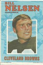 1971 Topps Posters Inserts #16 Bill Nelsen