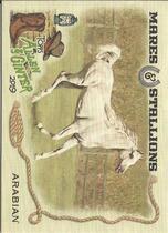 2019 Topps Allen & Ginter Mares and Stallions #MS-1 Arabian Horse