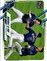 2021 Topps Base Set Series 2 #353 Baseball Is Fun!