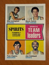 1974 Topps Base Set #221 Carolina Spirits