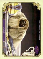 2024 Topps Allen & Ginter Stars Of The Show The Westminster Kennel Club #SOS-12 Wasabi