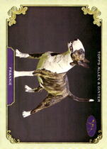 2024 Topps Allen & Ginter Stars Of The Show The Westminster Kennel Club #SOS-29 Frankie