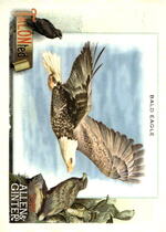 2023 Topps Allen & Ginter TALON-ted #TT-5 Bald Eagle