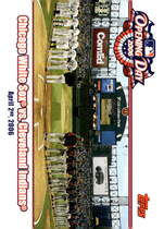 2006 Topps Opening Day Team vs. Team #OM-WI Chicago White Vs.