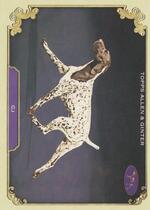 2024 Topps Allen & Ginter Stars Of The Show The Westminster Kennel Club #SOS-17 C J